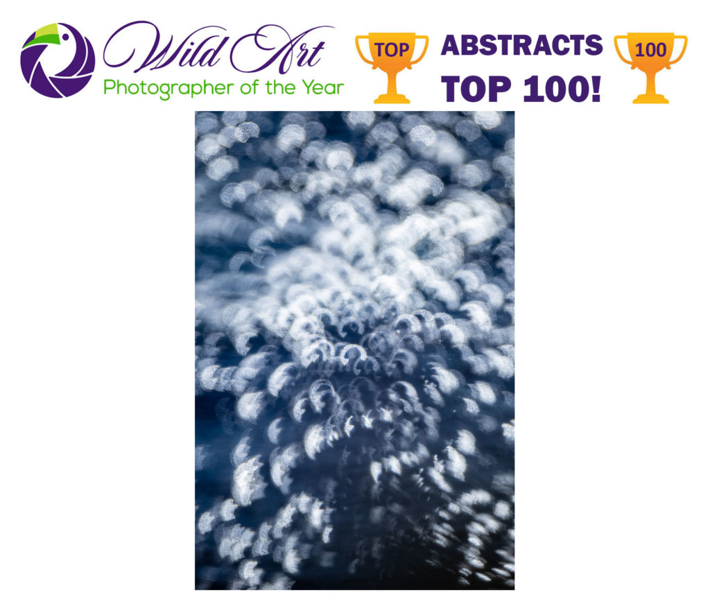 Długosz abstracts top 101